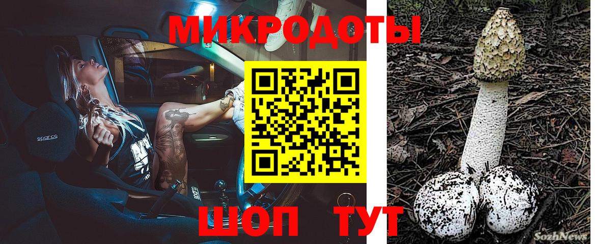 Галлюциногенные грибы прущие грибы Узловая